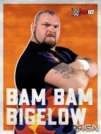 WWE 2K18 16 08 2017 poster (15)
