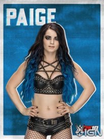 WWE 2K18 16 08 2017 poster (22)