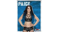 WWE-2K18_16-08-2017_poster (22)