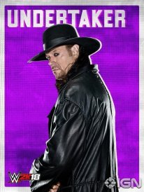 WWE 2K18 16 08 2017 poster (2)