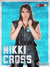 WWE 2K18 16 08 2017 poster (31)