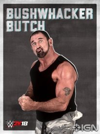 WWE 2K18 16 08 2017 poster (37)