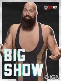WWE 2K18 16 08 2017 poster (3)