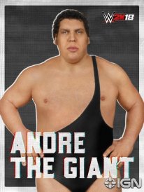 WWE 2K18 16 08 2017 poster (4)