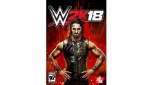 WWE-2K18_cover-star_jaquette