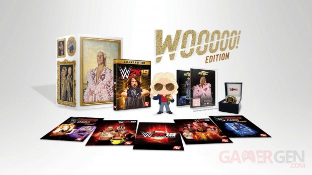 WWE 2K19 Wooooo Edition pic
