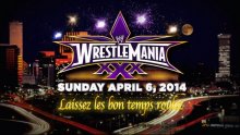 WWE Logo Wrestlemania 30 XXX (1)