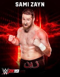 WWE2K19 R Sami Zayn