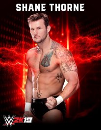 WWE2K19 R Shane Thorne