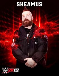 WWE2K19 Sheamus