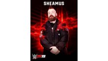 WWE2K19_Sheamus