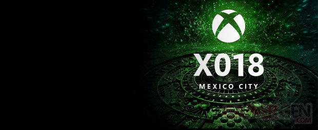 Xbox X018 image vignette ban 