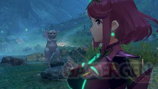 Xenoblade Chronicles 2 10