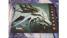 Xenoblade-Chronicles-2-collector-unboxing-déballage-24-30-12-2017