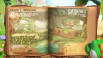 Yoshi and the Mysterious Book 03 13 09 2025