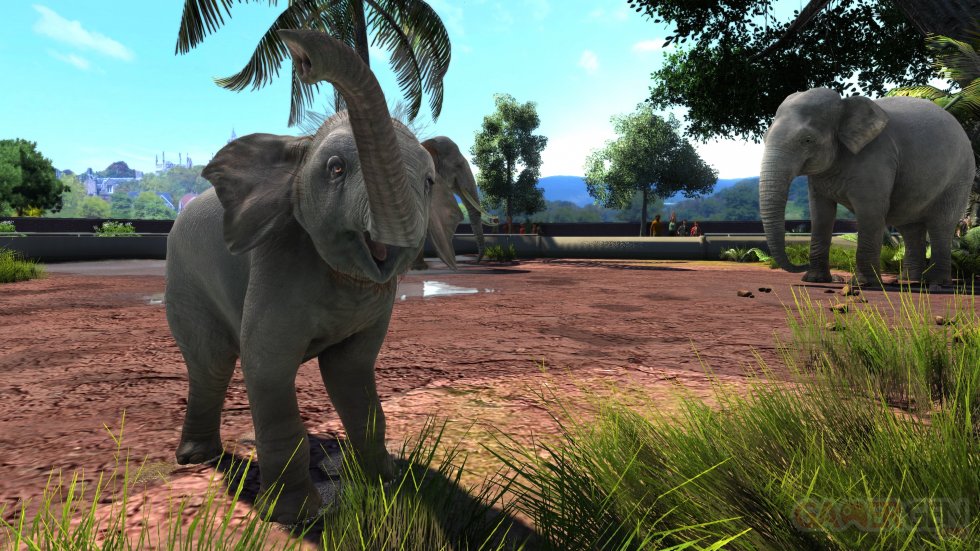 Zoo-Tycoon-Ultimate-Animal-Collection_2017_08-20-17_004